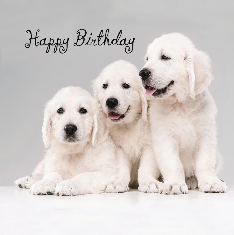 Retriever Pups Dog Birthday Card