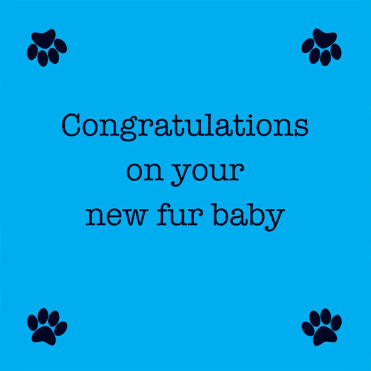 Congratulations on New Fur Baby Dog Card
