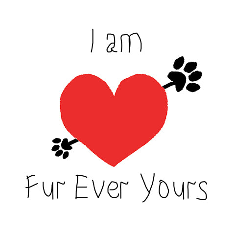Fur Ever Yours Valentine Card