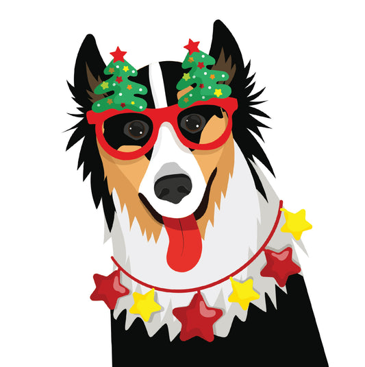 Collie Dog Christmas Card