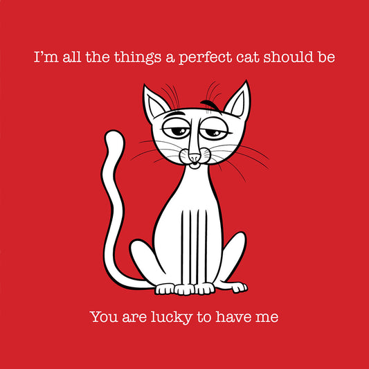 Perfect Cat Cartoon Card
