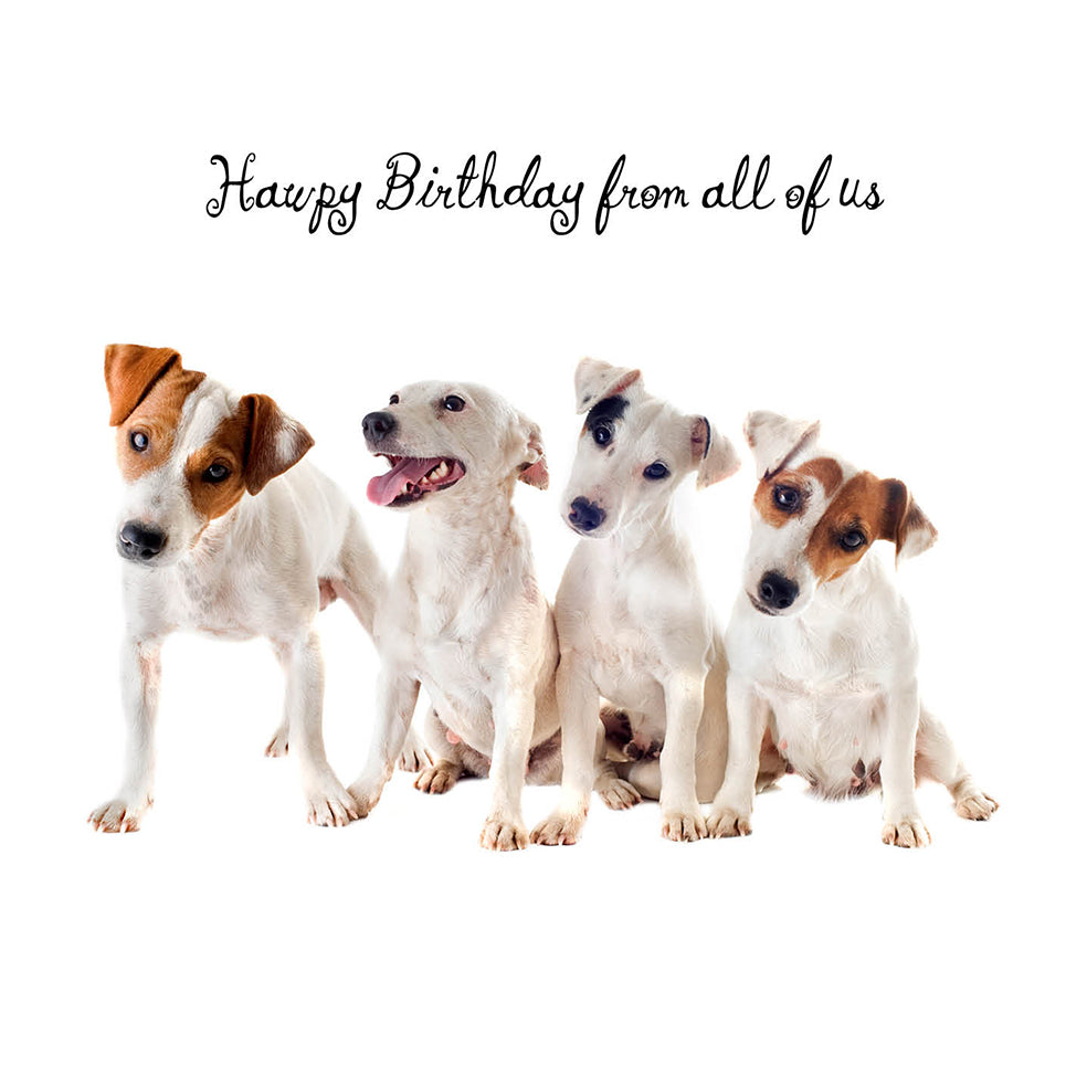 From All of Us Dog Birthday Card