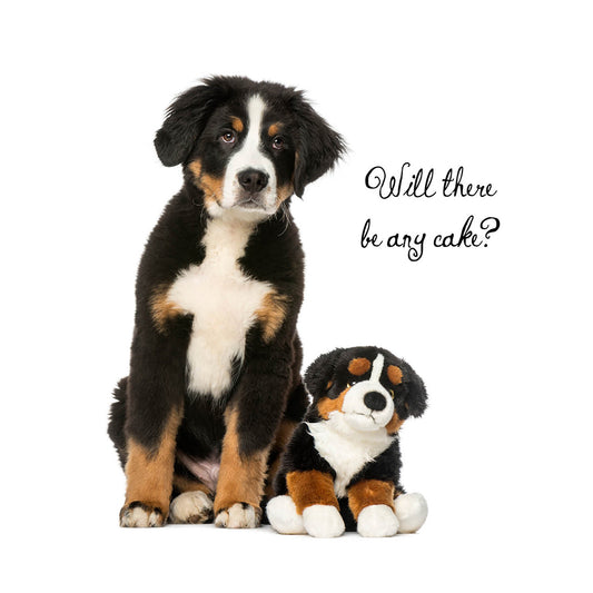 Will There Be Cake Bernese Birthday Card