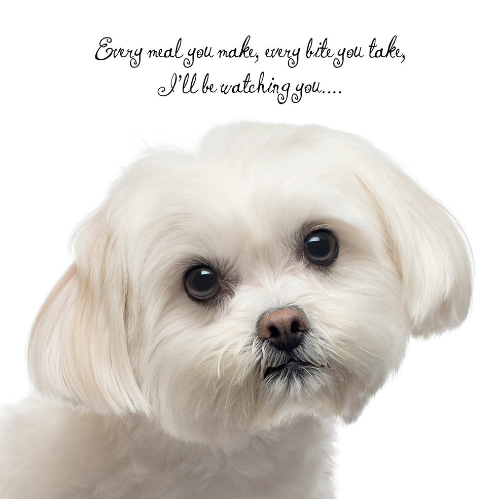 I'll Be Watching You White Dog Birthday Card
