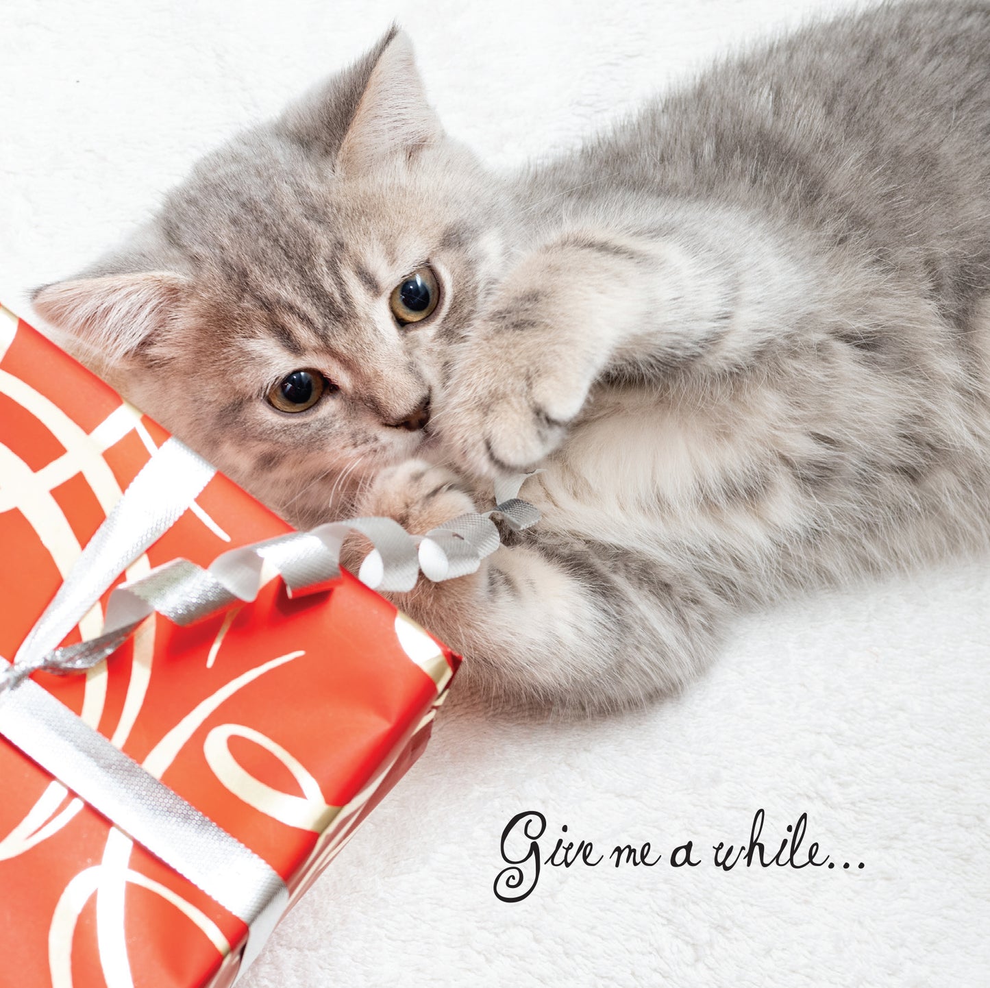 Kitten Playing with Gift Birthday Card