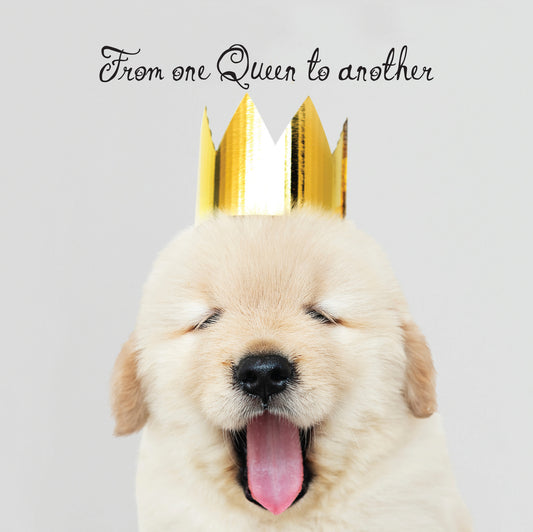 Queen Pup Blank Card