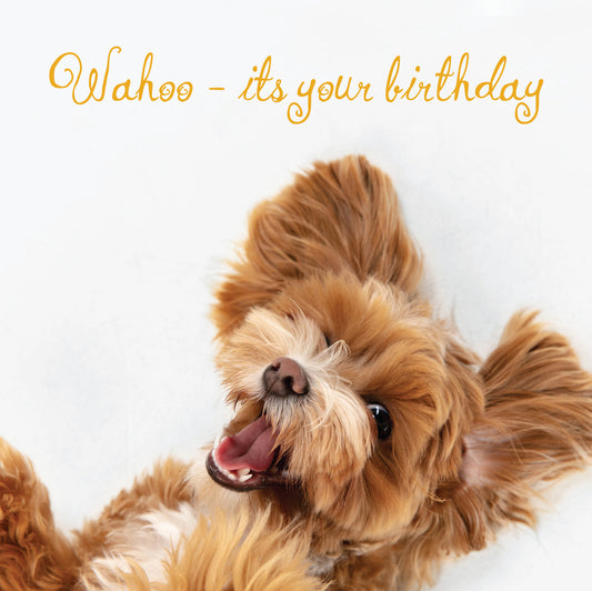 Wahoo - its your birthday Greeting Card