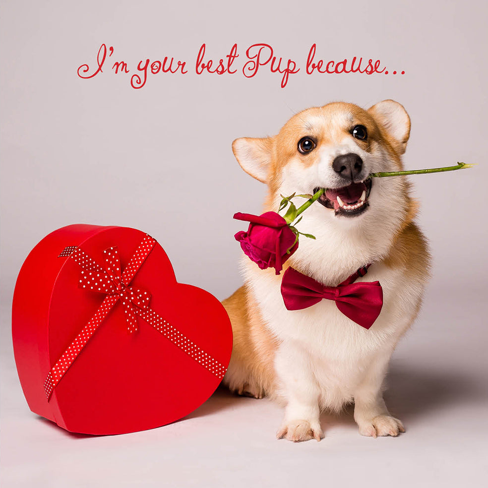 Best Pup Because Corgi Dog Love Card