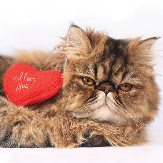 Grumpy Cat Love Card