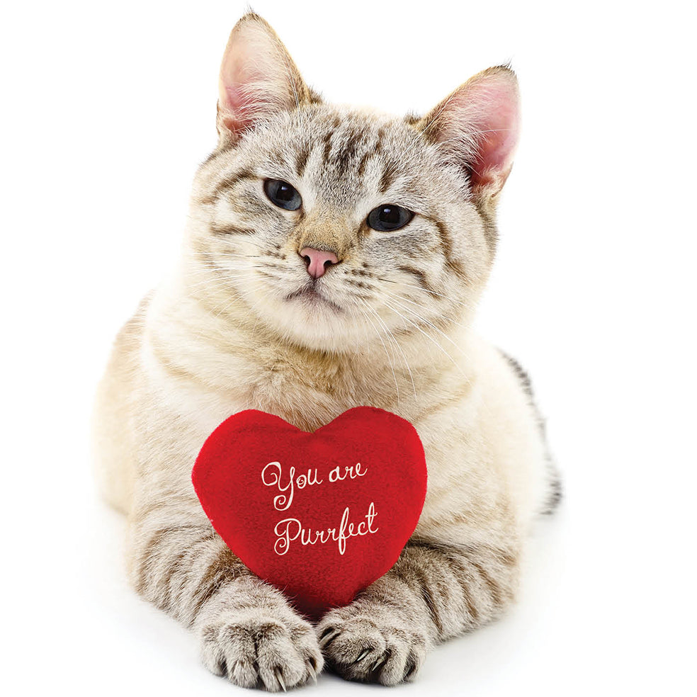 Purrfect Cat Love Card