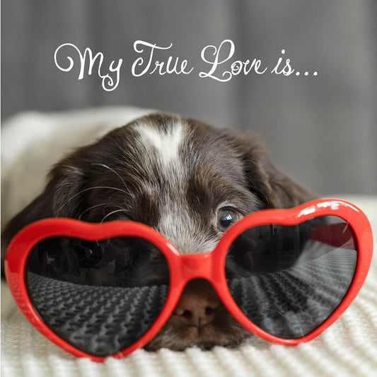 Dog True Love Card