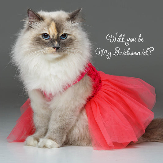 Will you be my Bridesmaid Blank Card