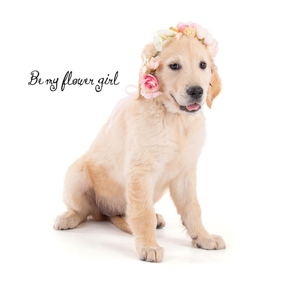 Wedding Flower Girl Dog Card
