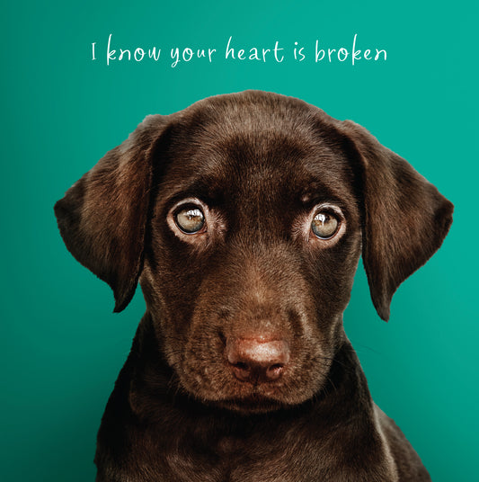 Labrador pup Pet Sympathy Card