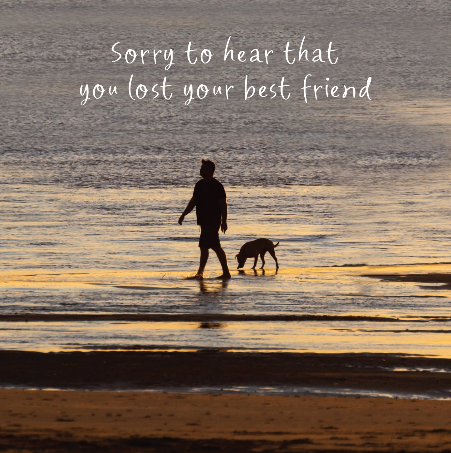 Sorry you lost your best friend Dog Sympathy Card
