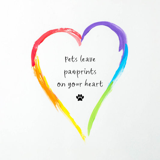 Rainbow Heart Pet Sympathy Card