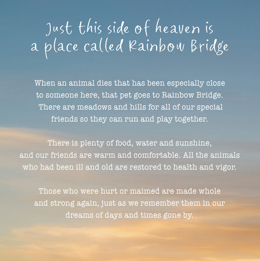 Rainbow Bridge Pet Dawn Sympathy Card