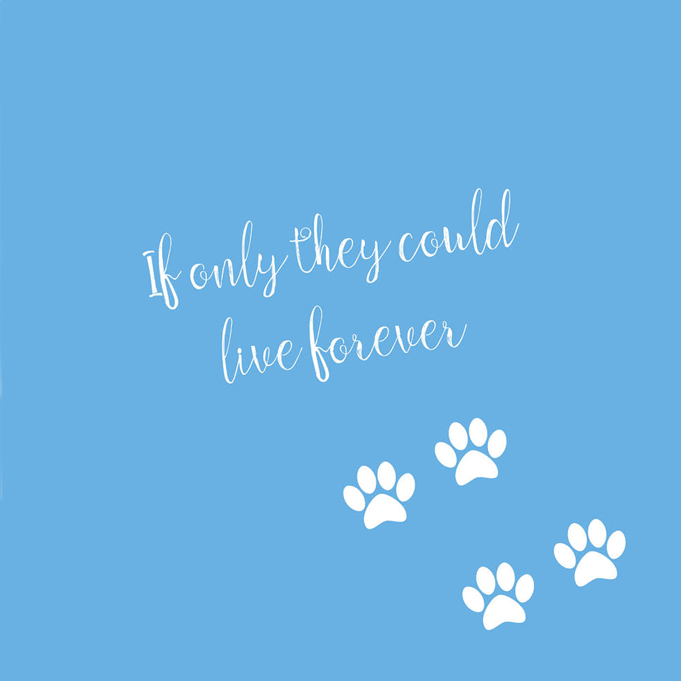 Live Forever Pet Sympathy Card
