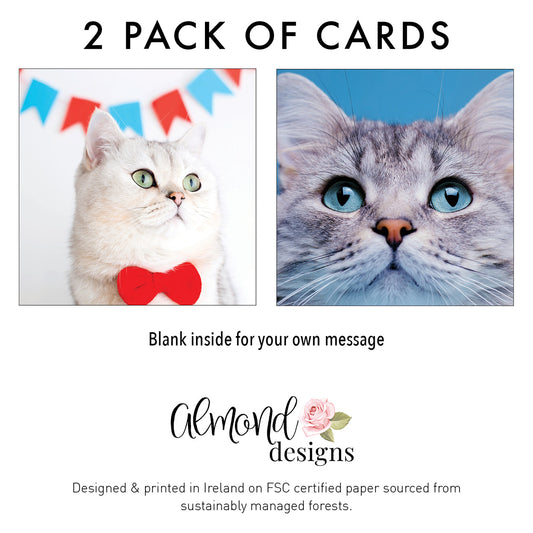 Cat Blank Card  - Double Pack