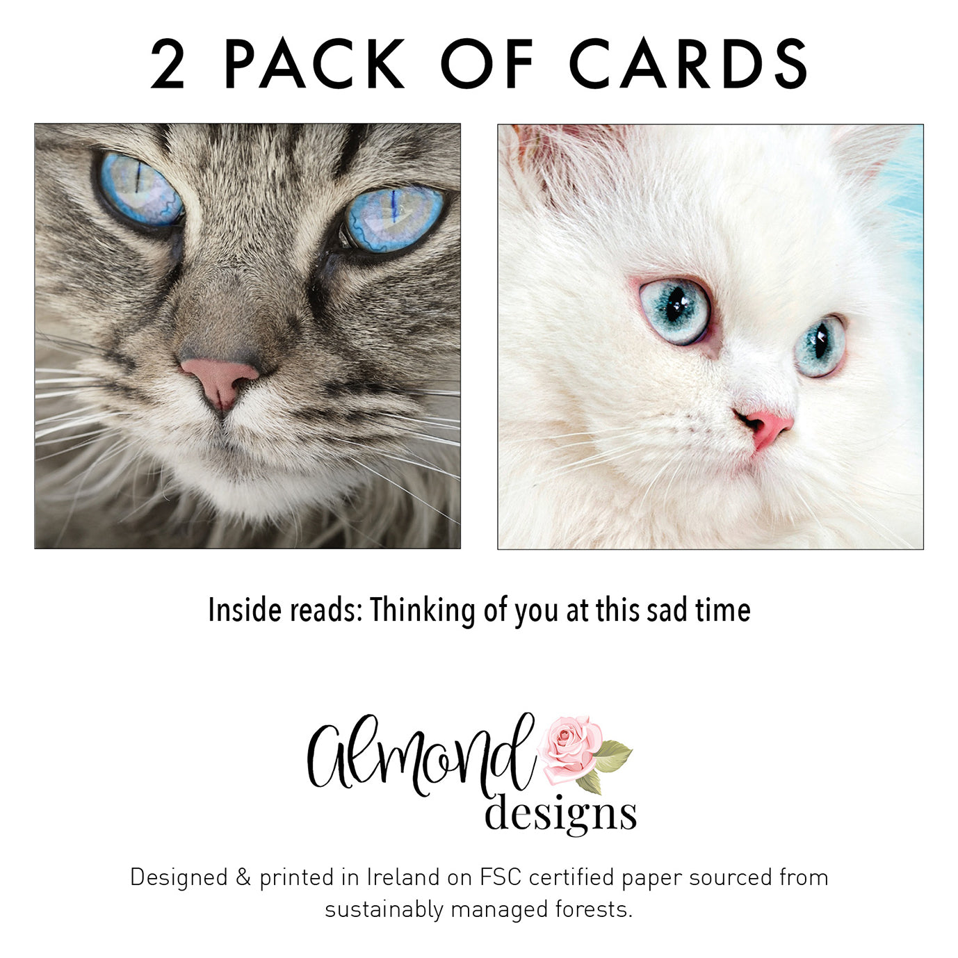Cat Pet Sympathy Card - Double Pack