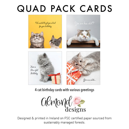 4 Cats Birthday Card - Quad Pack